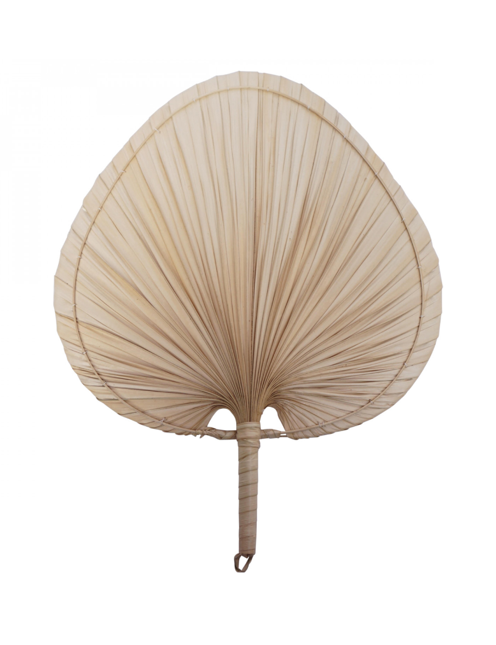 Eventail feuille de palmier - Boutique l'ananas
