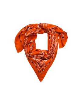 Foulard en laine ocre wild PAISLEY WILD - Boutique L'aNana(s)